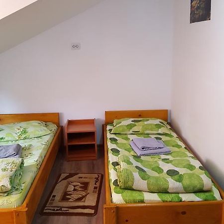 Casa Borcean Villa Sasca Montană Buitenkant foto