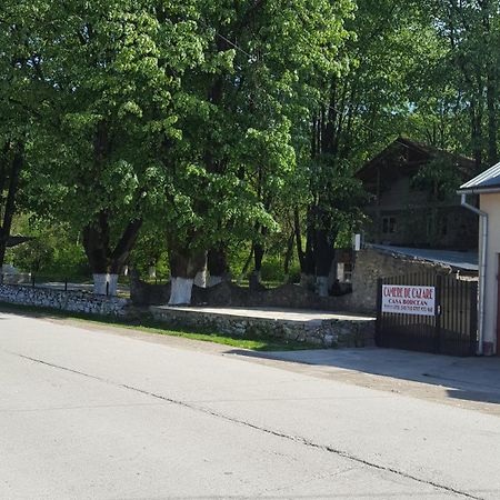 Casa Borcean Villa Sasca Montană Buitenkant foto