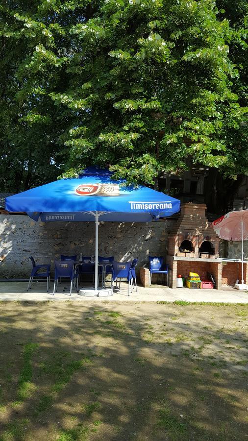 Casa Borcean Villa Sasca Montană Buitenkant foto